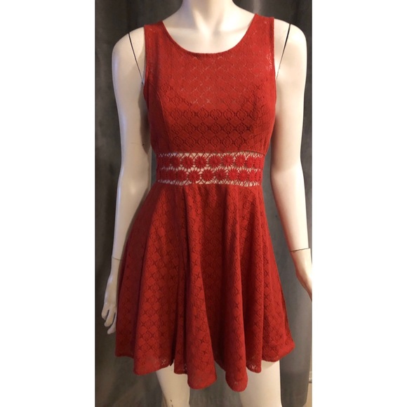 berry skater dress